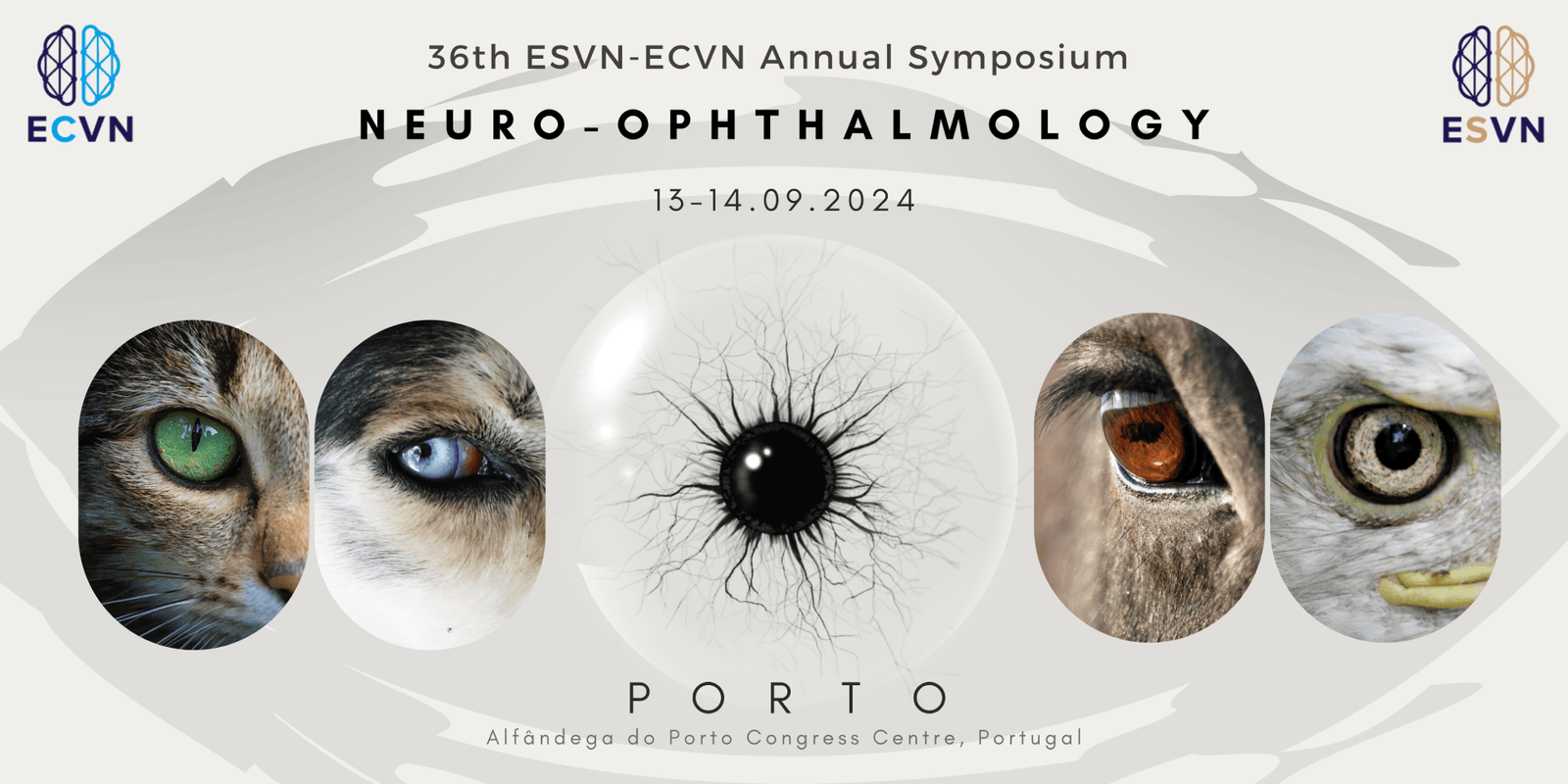 ECVN 2024